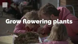 Can you imagine a world without bees?