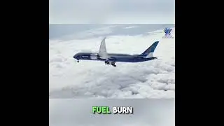 A350 Vs  B787-10 | Key Differences Revealed