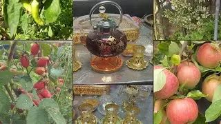 Turkish Tea //Family Garden// Southall London