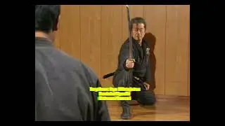 TOUTOKU YOSHI - Togakure Ryu Ninjutsu - Hatsumi Sensei