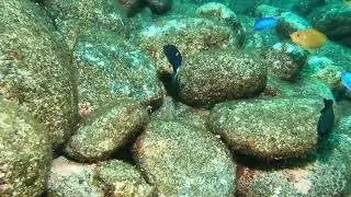 【映像記録】ムナテンベラを見る