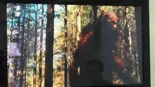 Nokia N8: мультитач и просмотр видео