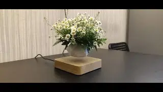 NEW Levitating Air Bonsai Pot