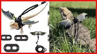 Adjustable Lizard Leash Bearded Dragon Harness Cool Leather Wings Safety Walking LeashS,M,L,3pack