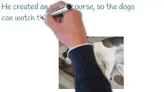 Click 4 Course - Dog Training