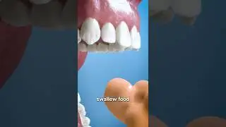 What Is The Purpose Of Your Uvula? 🤔 Surgeon Reacts