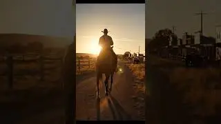 A Cowboy Riding into the Sunset