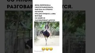 #шутки #юмор #смех #приколы #funny #jokes #comedy #memes #youtubeshorts #shorts #memes