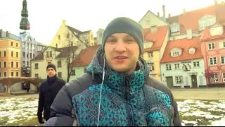Когда цветок распускается, пчелы сами на него прилетают. Видео из Риги, Латвия