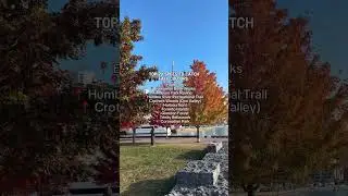 Todotoronto | Top 20 spots to catch fall colours #todotoronto #toronto #fall