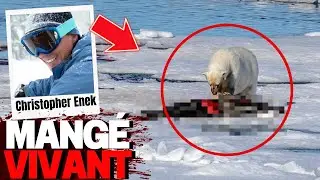 Un Jeune Gar&ccedil;on a &eacute;t&eacute; Mang&eacute; Vivant Par Un Ours Polaire Lors d'Une Exp&eacute;dition