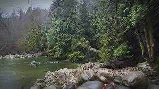 Rainy Day Vibes by the River - 2 hours of Landscape ASMR in British Columbia