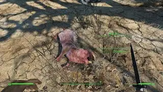 Fallout 4 Mole Rat Kill