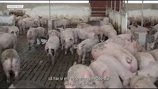 S&aring; fungerar l&ouml;sdriften