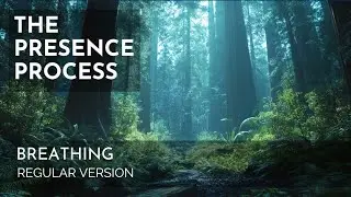 The Presence Process Breathing Practice: 15 Min New Regular Version + Black Screen | Michael Brown
