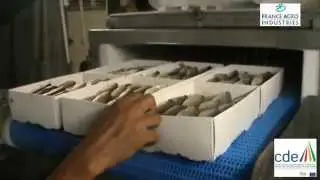 Madagascar : projet de congélation de crevettes par aspersion de saumure