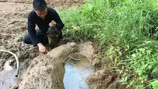 Ep 16, Building new life, building wild life, farm, freelife, bushcraft, survival