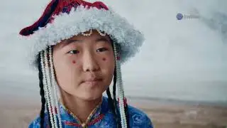 Silk Road Secrets: Uzbekistan Unveiled! A Sarcastic Stroll Through History & Hype 🕌🧭