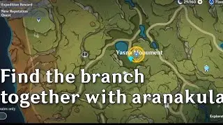 find the branch together with aranakula quest |Genshin impact