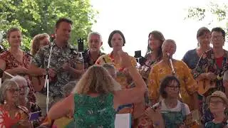 There She Goes (The La's) by the Ukastle Ukestra at BMUF23