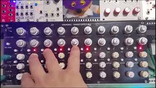 PM Foundations Harmonic Transformer Demo 1