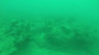 Tennessee Reef Ledge - 061019