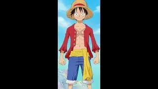 A One Piece Video