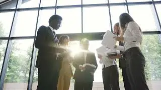 Young Business Team | Stock Footage | 4K | Royalty Free 2025