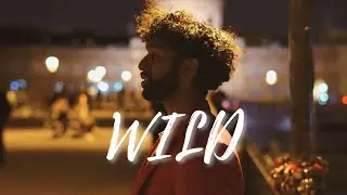 Wild [Official Video] | The Stanford Mendicants