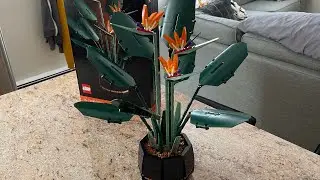 Lego Bird of Paradise Set Review (10289)- An amazing display piece