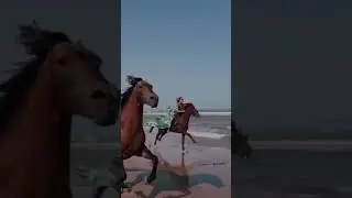 Peaceful Whispers of 🐎 | Gentle Horse Sounds #Shorts