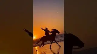 #shorts #youtubeshorts #shortsfeed #facttok