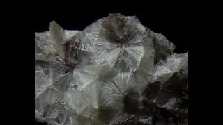 177184536950 WAVELLITE - Czech Republic, Bohemia, Cerhovice, Třenice /black_orion666/
