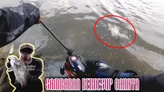 SAMBARAN BERDESUP CAHAYA || CASTING SIAKAP REBA