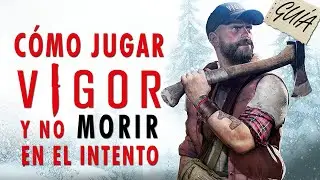 GU&Iacute;A R&Aacute;PIDA para PRINCIPIANTES en VIGOR + TIPS y TRUCOS
