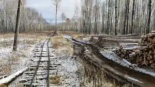 УЖД Берёзовского ЛПХ (2025.11.03)