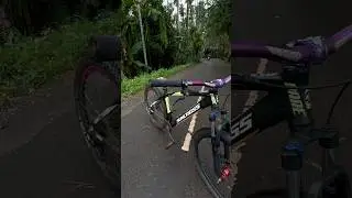 Recover after two years , in our suncross Cycle🤯