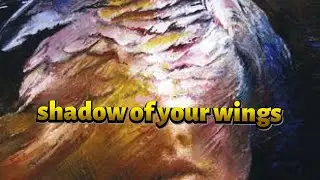 Shadow of your Wings