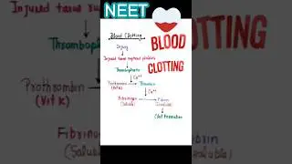 Blood Clotting| Coagulation| Clotting mechanism #aiims #medicosstuff #nursingofficer #bloodcells