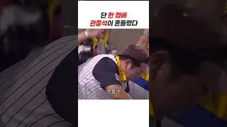 한 점이 만든 미친 열기, 경기장 뒤집혔다 #야구쇼츠 #kbo쇼츠