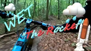 The 