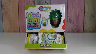 Fidgetz Crazy Cacti