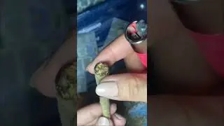 Arma un cigarrito de lavanda y cempas&uacute;chil conmigo