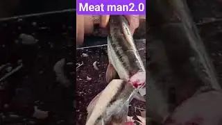 special fish meat cutting #shorts