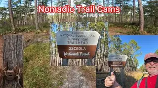Setting up a trail cam in Osceola National Forest || on alert for hunters and wildlife