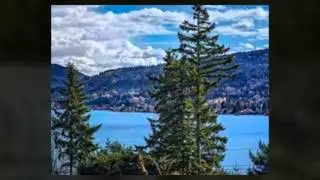 Sammamish Woods