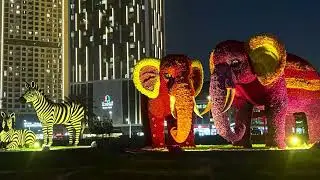 Dubai Glow Garden