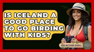 Is Iceland A Good Place To Go Birding With Kids? - Bird Watching Diaries