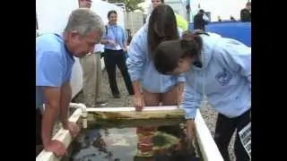 The SEA Lab