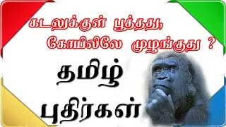 #பகுதி 25 புதிர்கள் விடுகதைகள்|Puthirgal|tamil riddles|Puzzles in Tamil|vidugathaigal|riddles